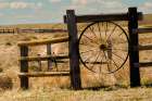 Grasslands landscape. Art Print